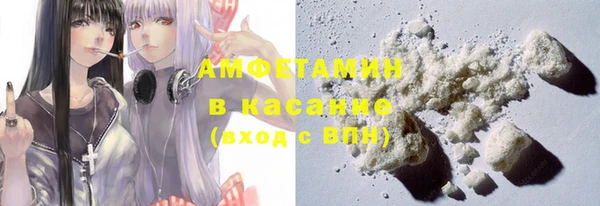 прущая мука Вяземский