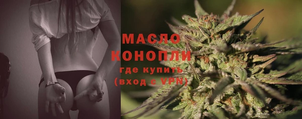 прущая мука Вяземский