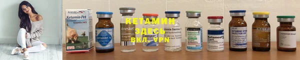 прущая мука Вяземский
