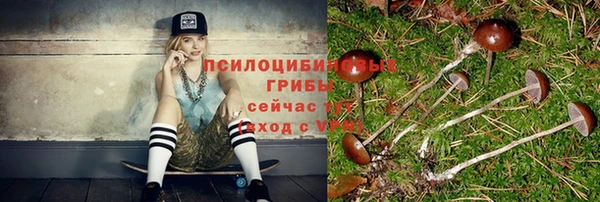 каннабис Тайга