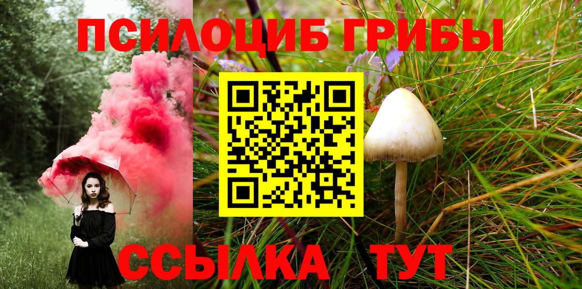 Псилоцибиновые грибы MAGIC MUSHROOMS  Вход с VPN  Вичуга 